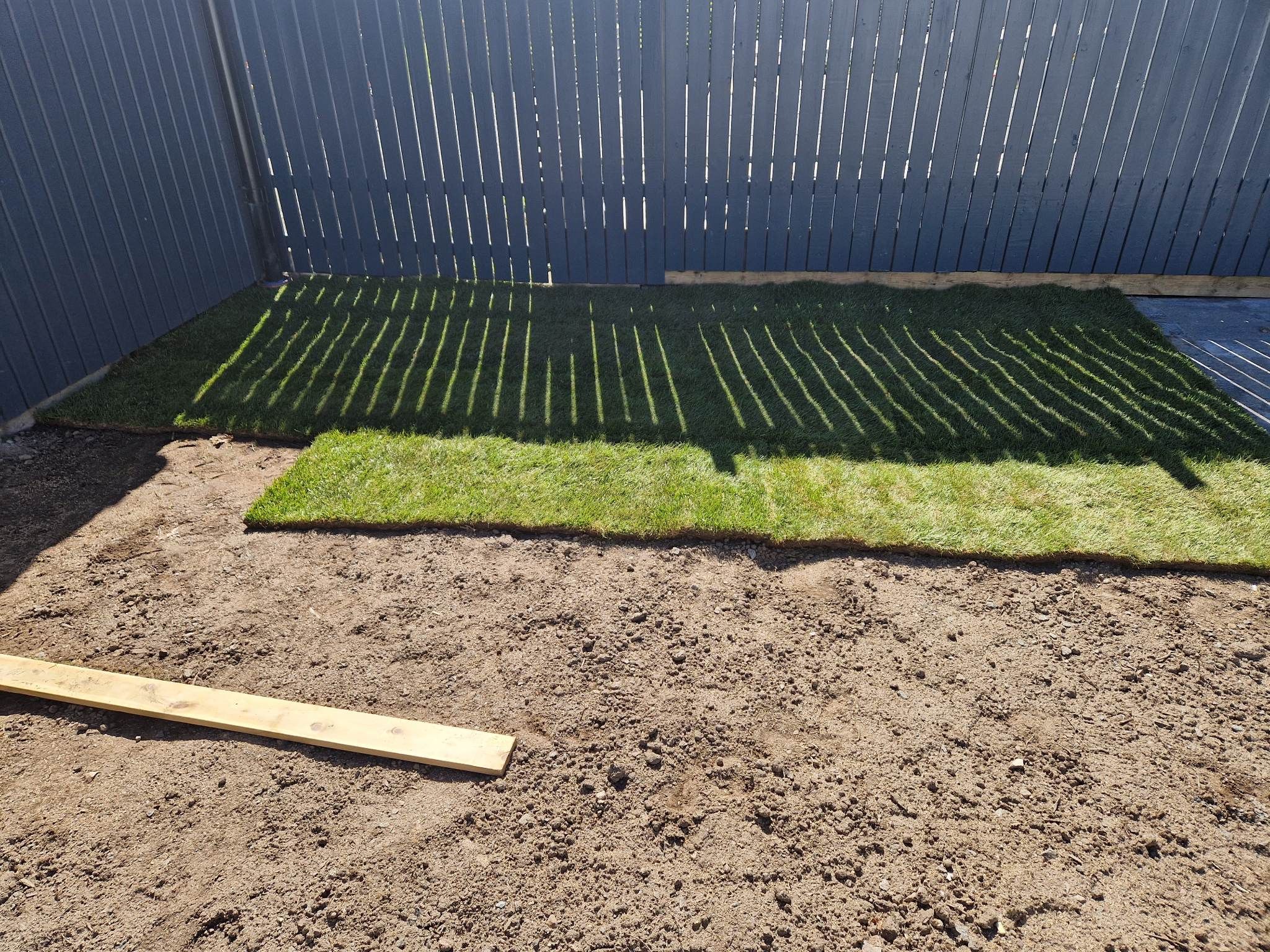 344114362_788733602454503_8771222260005861238_n