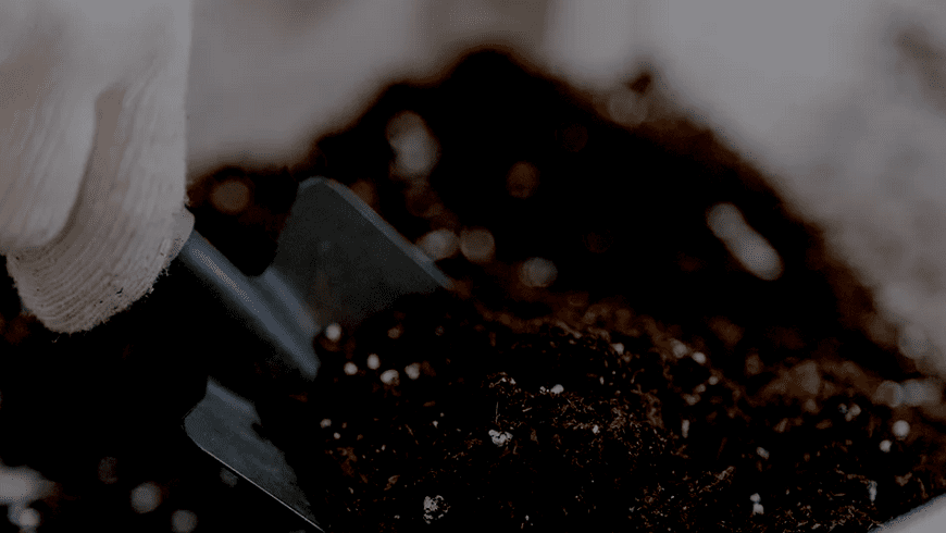 jord-lsvikt_530_801_420